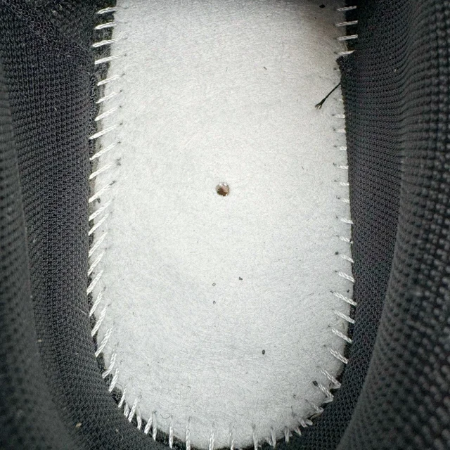 PUMA Sneakers Palermo x KidSuper Studios product detail image 19