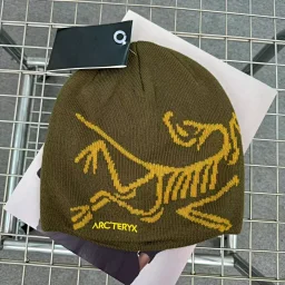 thumbnail for Autumn and winter new warm woolen hats, European version of the trendy brand men's and women's knitted hats, head hats, ear protection hats, outdoor windproof and cold hats