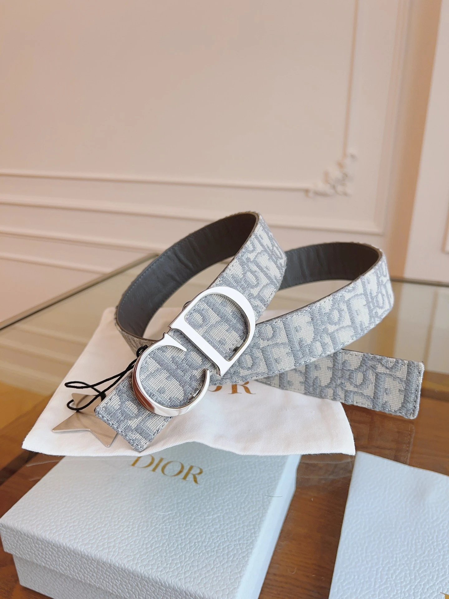 No. 12 - Gray Fabric / Bright Silver Buckle