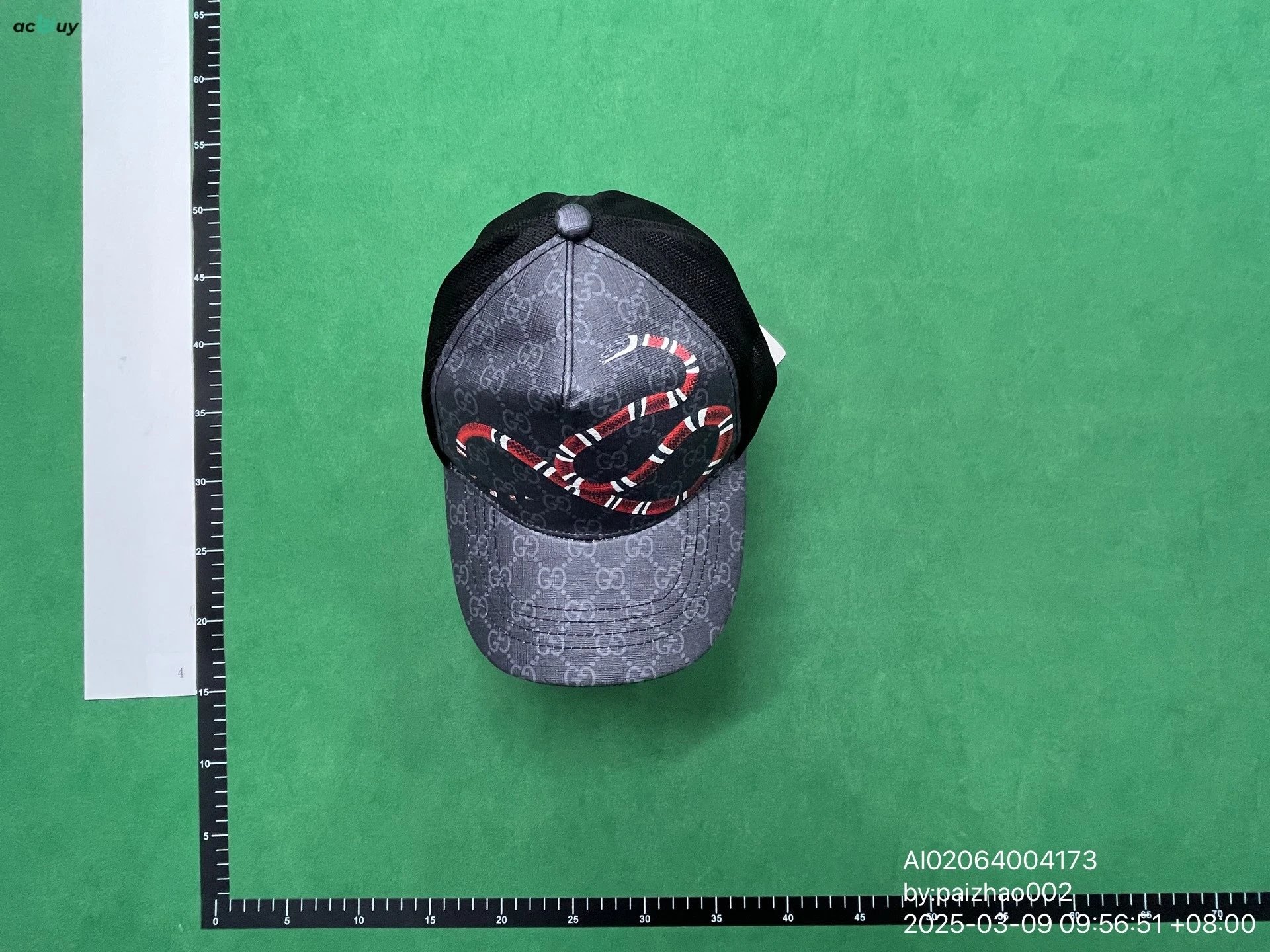 Snake Black