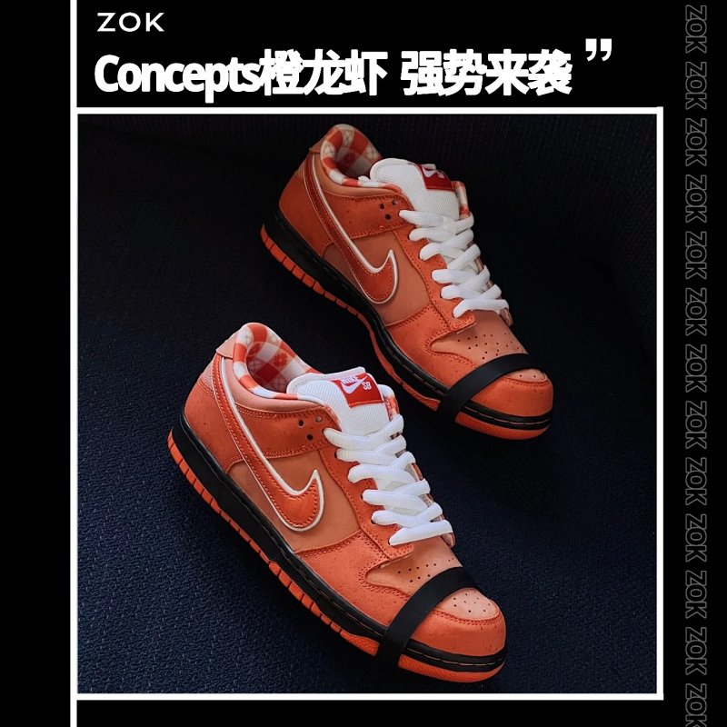 Nike Zok Dunk Concepts
