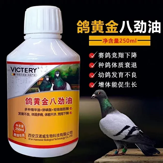 汉诺威鸽黄金八劲油规格 250毫升赛鸽信鸽幼鸽保健营养调理油六劲油十劲油