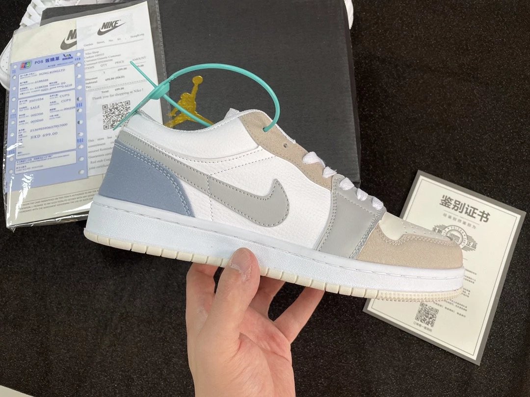 AJ1 Low Paris Dior