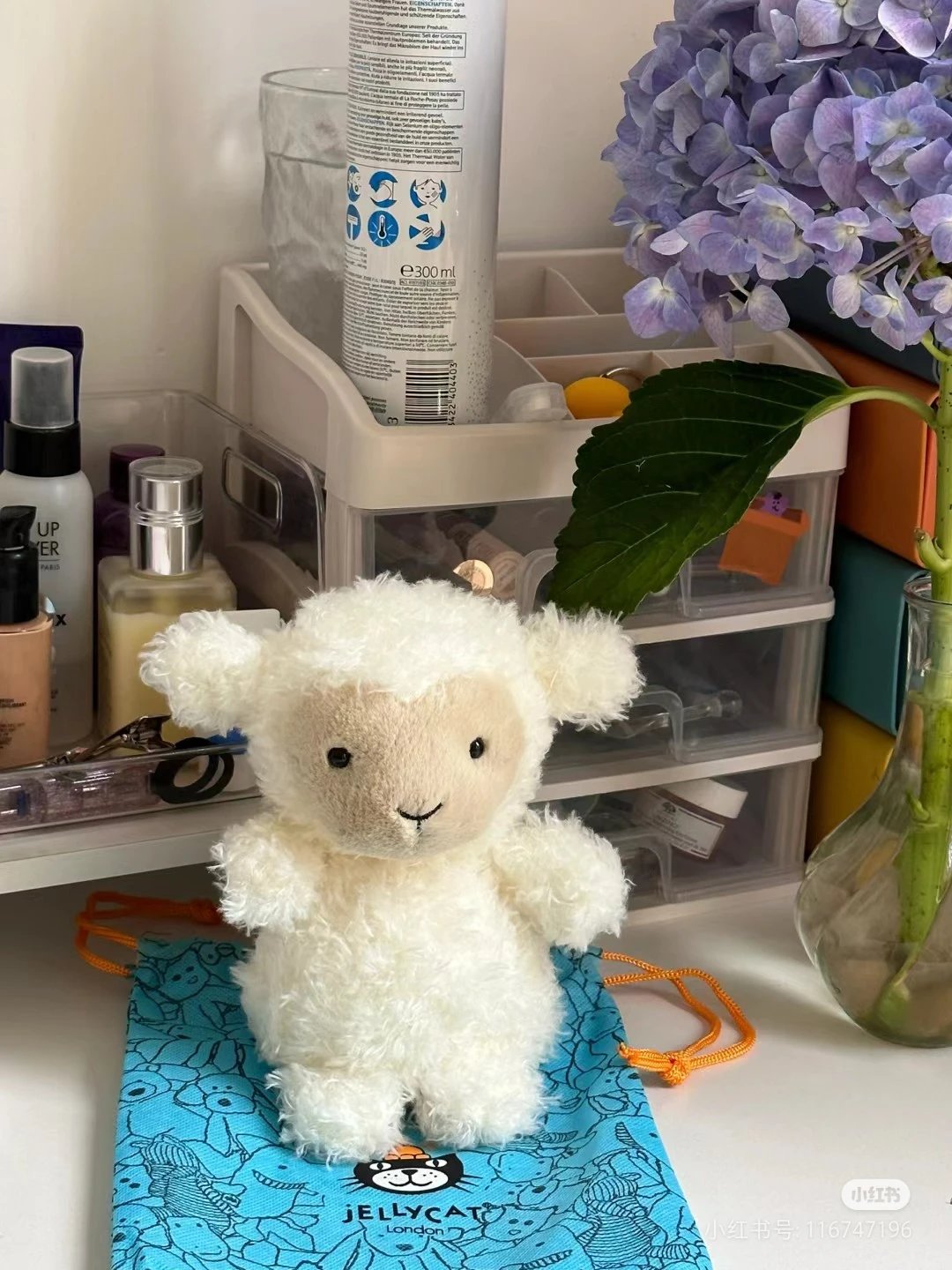 Curly haired lamb