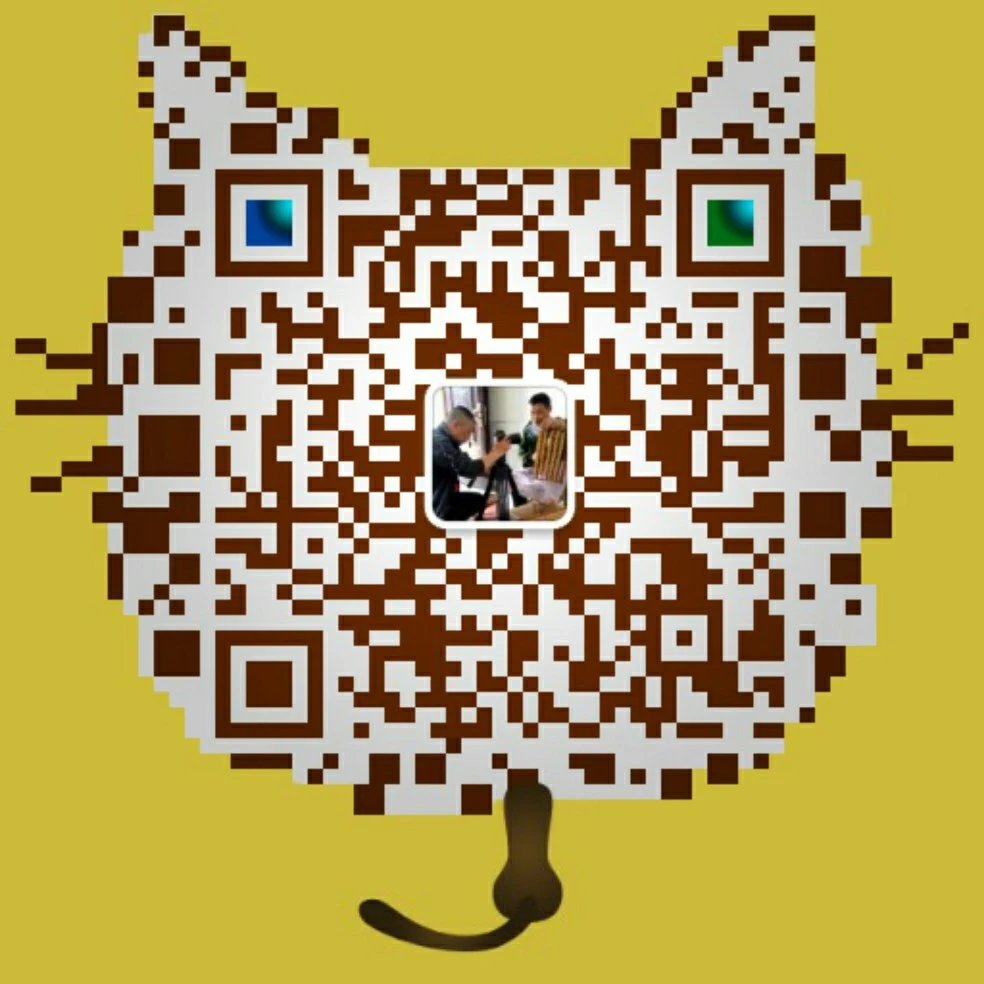 新西兰阳光气息的黄金奇异果