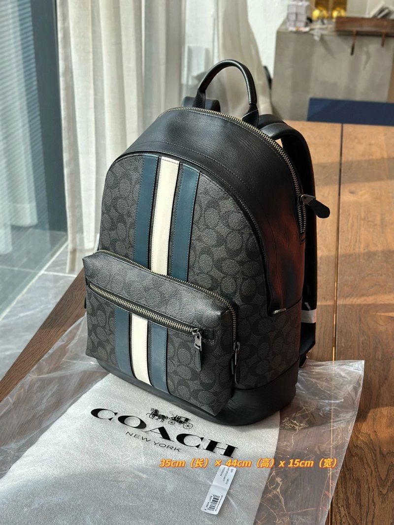 Louis Vuitton backpack