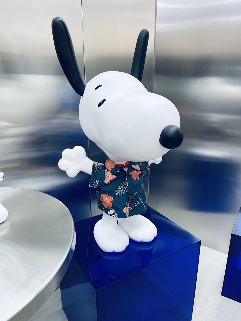 Snoopy Chill Snoopy 90cm 25