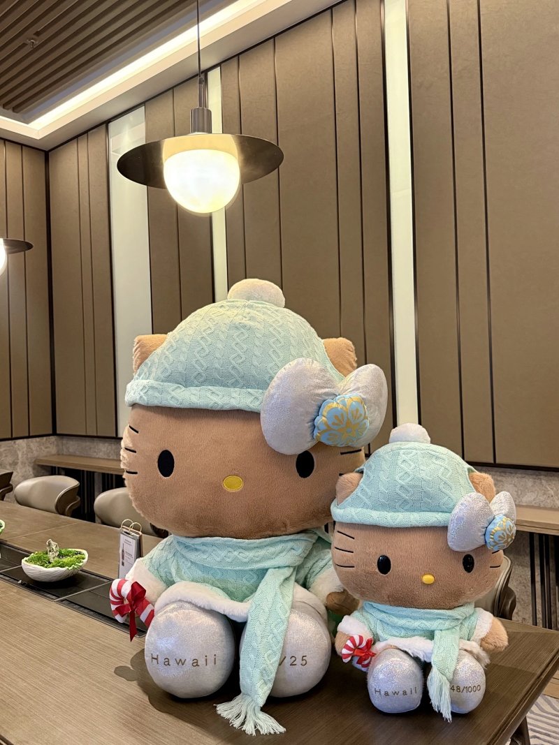 Plush from Celebrity