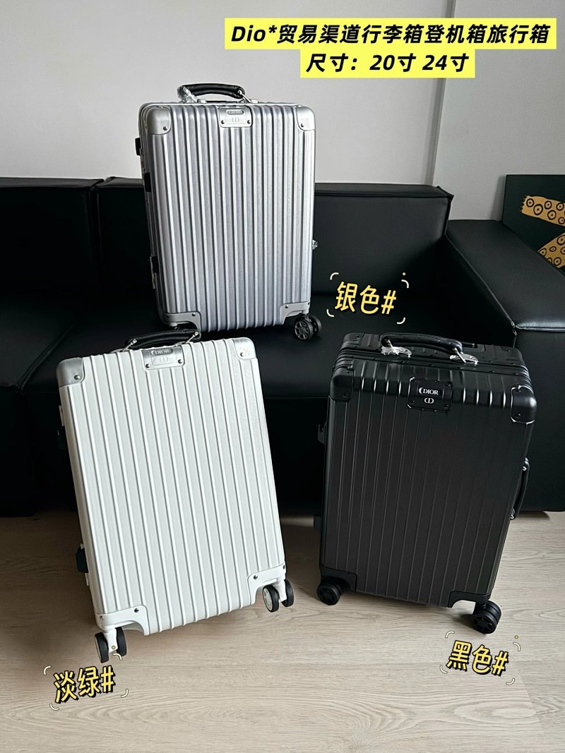 Dior travel bag