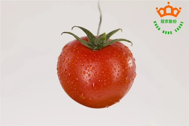 新疆巴州非转基因优质番茄 400g×6罐 新疆冠农番茄丁 团购价39.9元包邮 买手党-买手聚集的地方