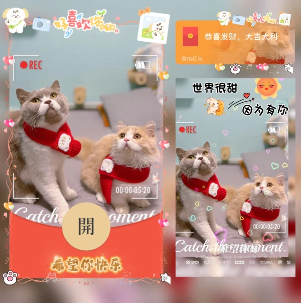 【红包封面】希望你快乐/猫咪
