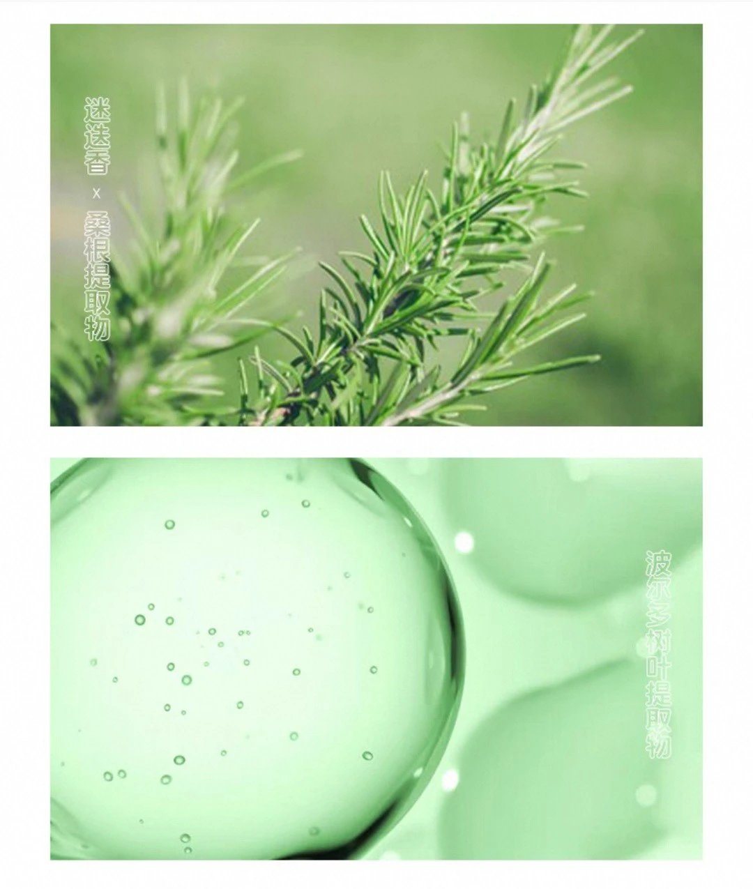 [Tianjin Warehouse] SkinCeuticals Color Repair Essence Water 50ml Plant Extract Soothing Repair Skin Barrier Moisturizing Toner Expires after 27 years in March