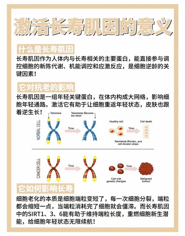[Tianjin Warehouse] Estee Lauder's new platinum level energy-enhancing black diamond light radiant tint cream 7ml/15ml travel sample firming expires in January 27