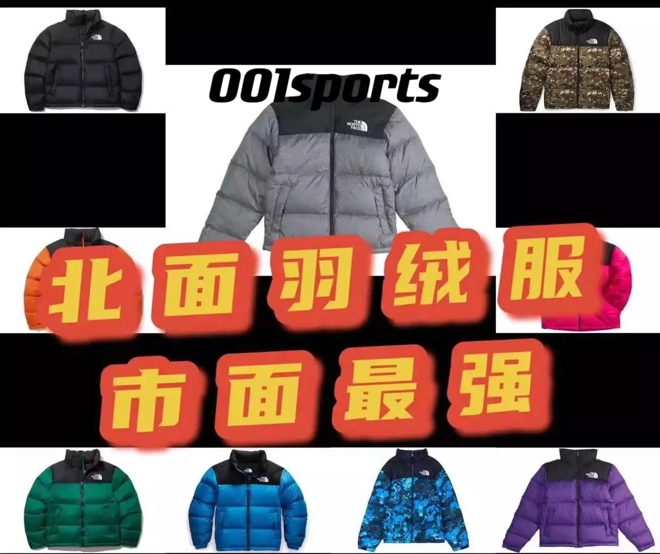 THE NORTH FACE "The highest version on the market"