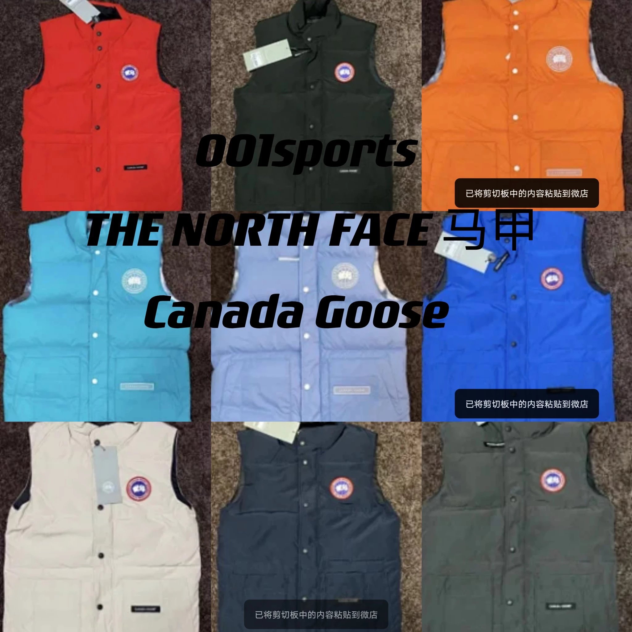 THE NORTH FACE vest
