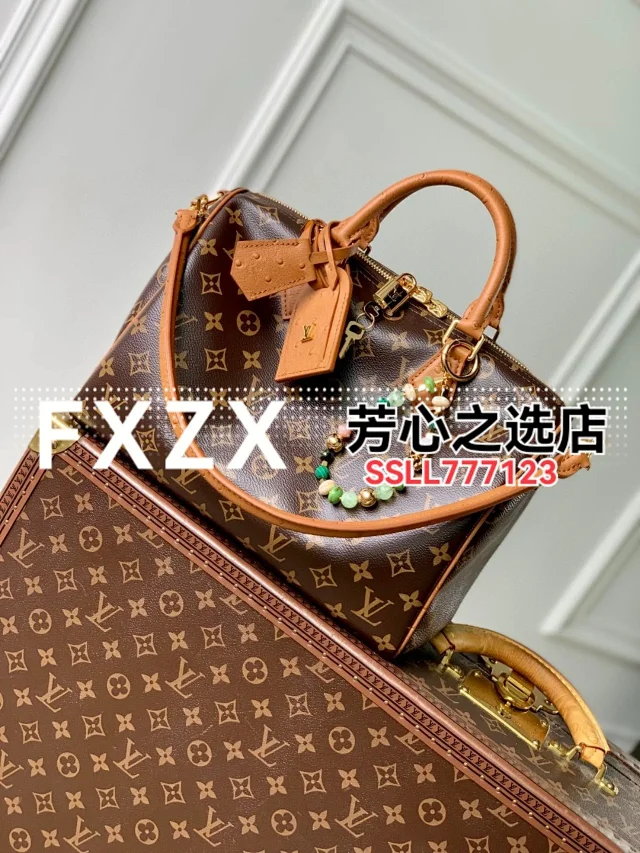 刘亦菲同款！LV Speedy Soft 30 Crafty 枕头包，单肩斜挎女包  第17张