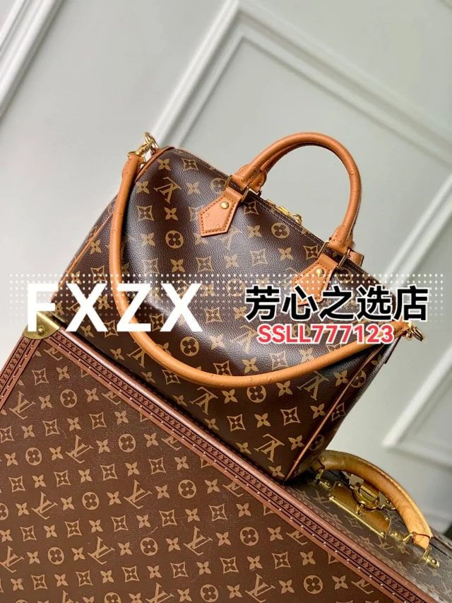 刘亦菲同款！LV Speedy Soft 30 Crafty 枕头包，单肩斜挎女包  第19张