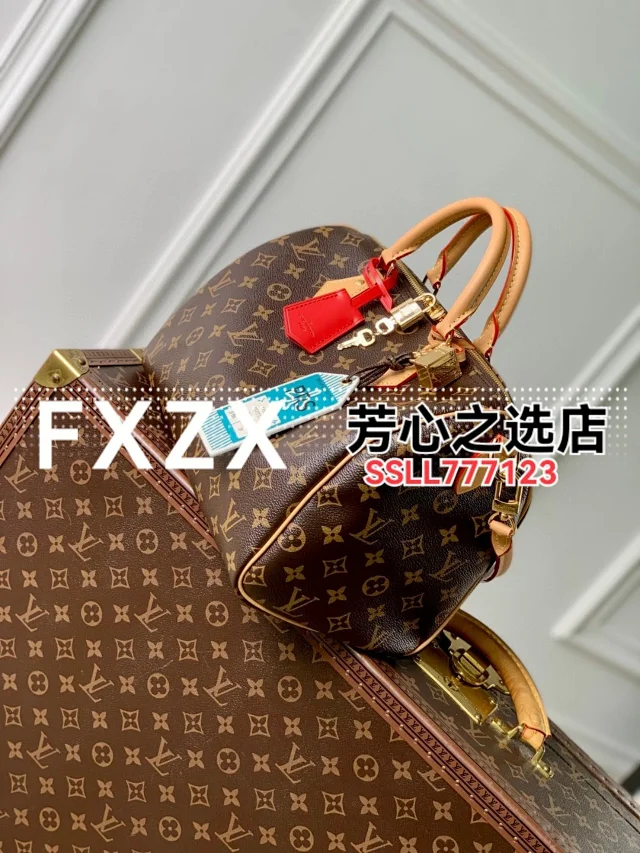 刘亦菲同款！LV Speedy Soft 30 Crafty 枕头包，单肩斜挎女包  第9张