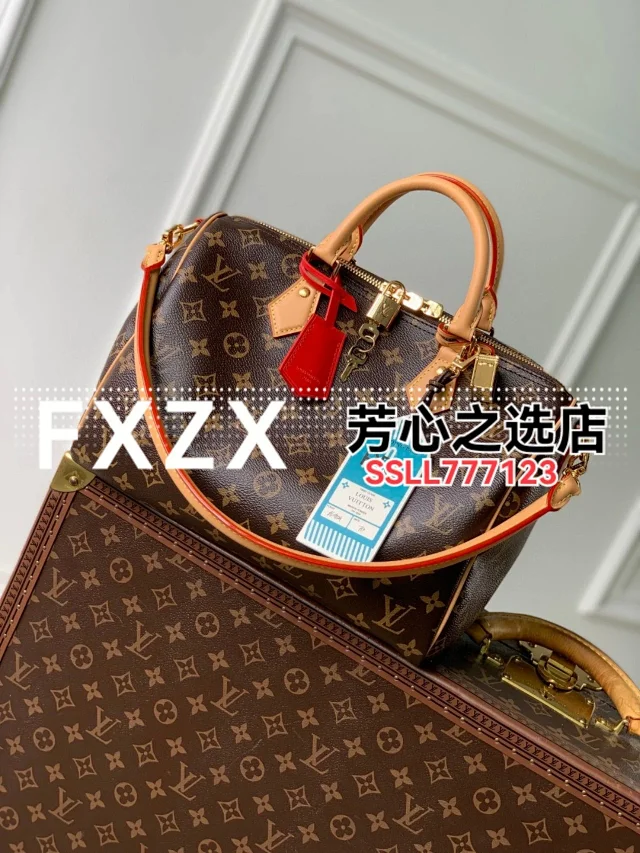 刘亦菲同款！LV Speedy Soft 30 Crafty 枕头包，单肩斜挎女包  第8张