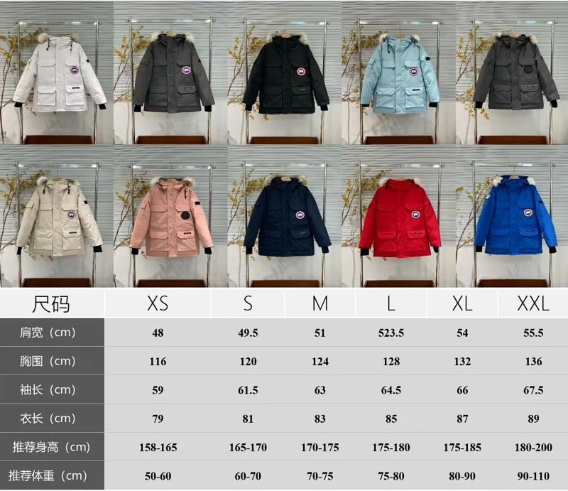 Jacket from GTR