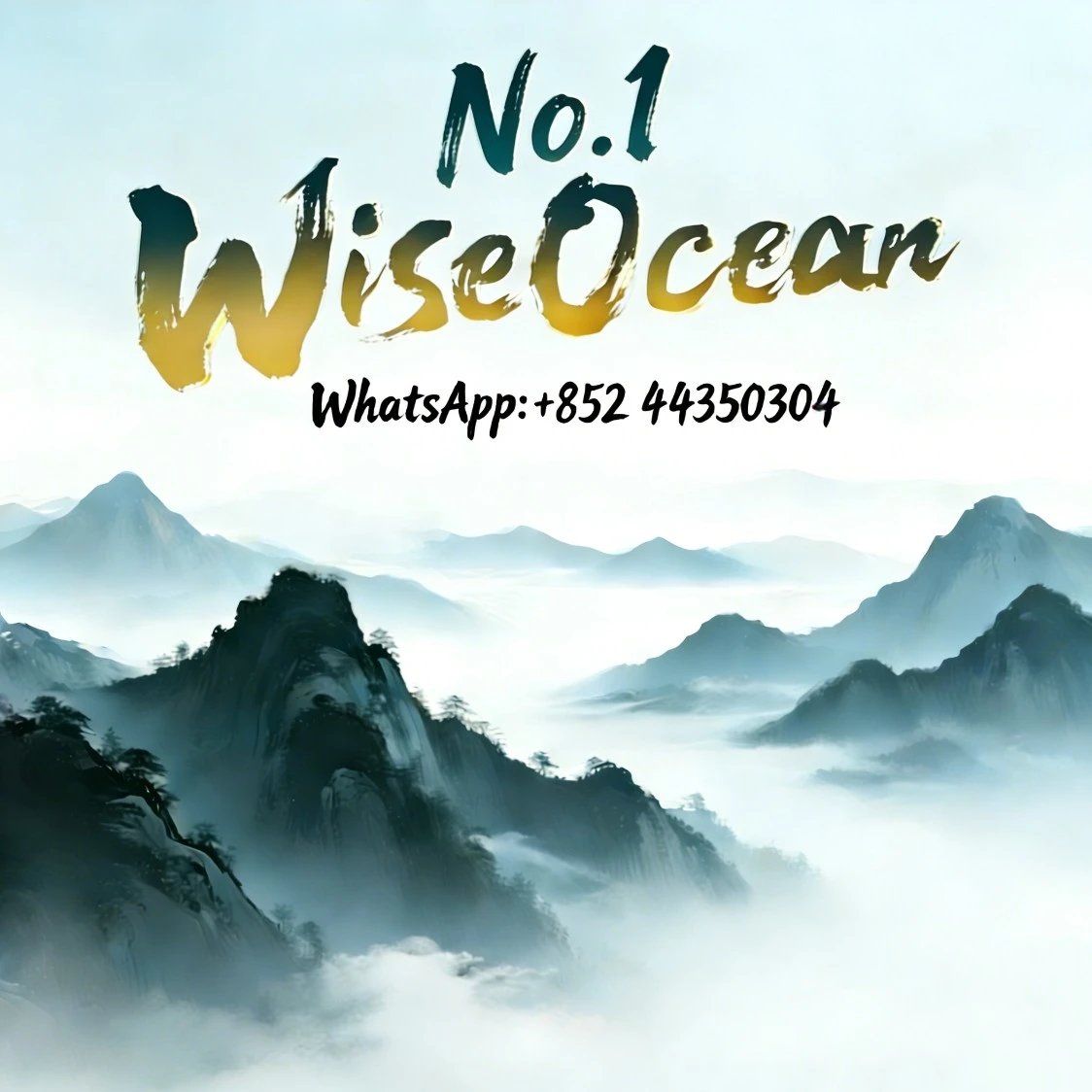 WiseOcean