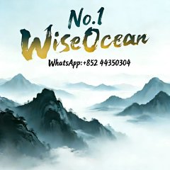 WiseOcean