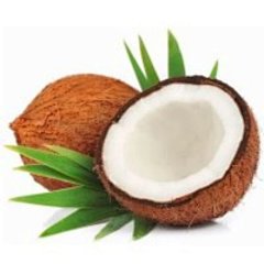 Cocofinds offcial