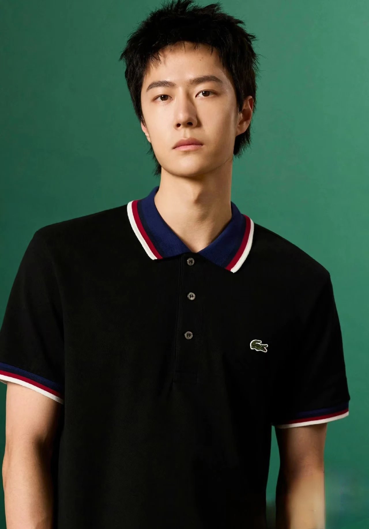 Contrast Collar Pique Cotton Polo Shirt