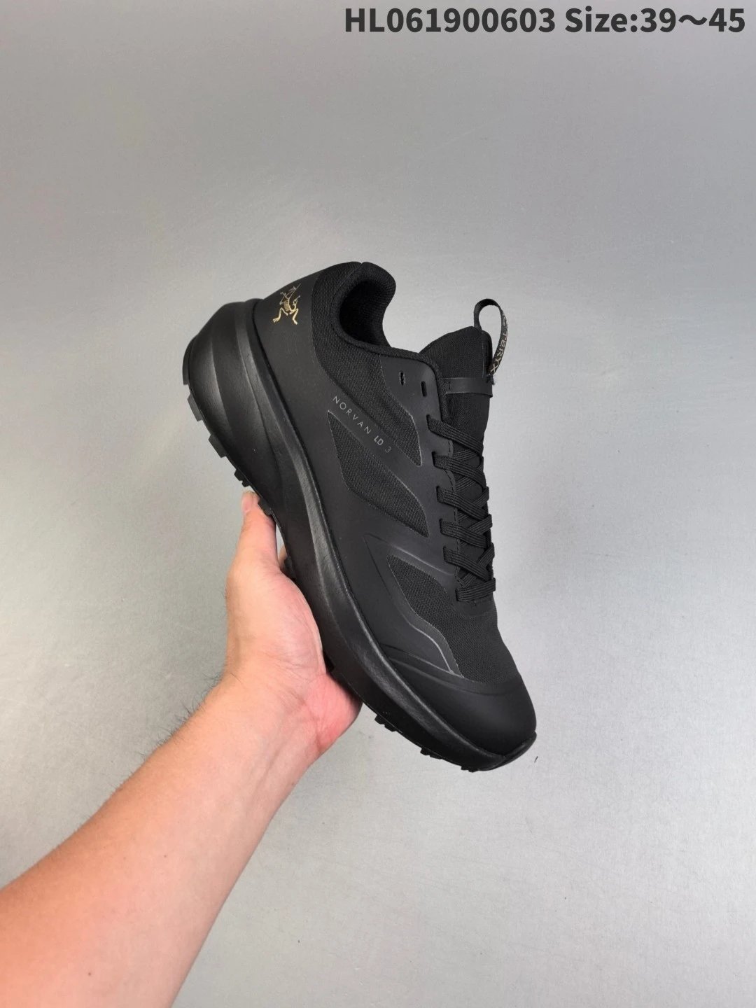 Arc'teryx Norvan LD 3 GTX Trail Running Shoe