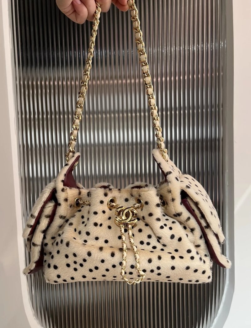 Chanel bag
