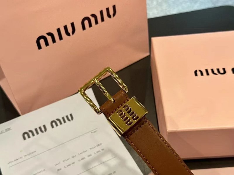 Belt from Apple