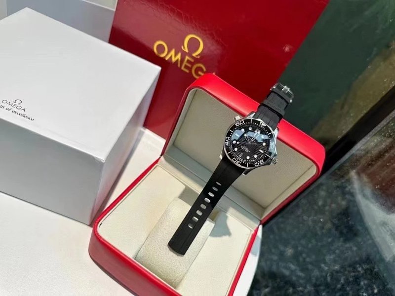 Omega watch