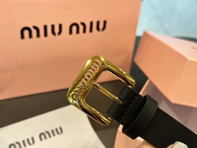 Belt from Apple