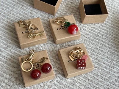 Coach Keychain
