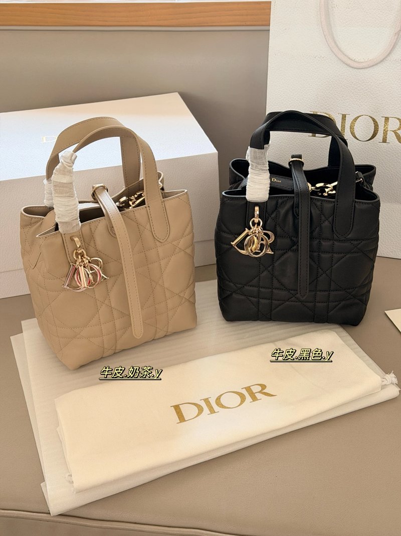 Dior crossbody bag
