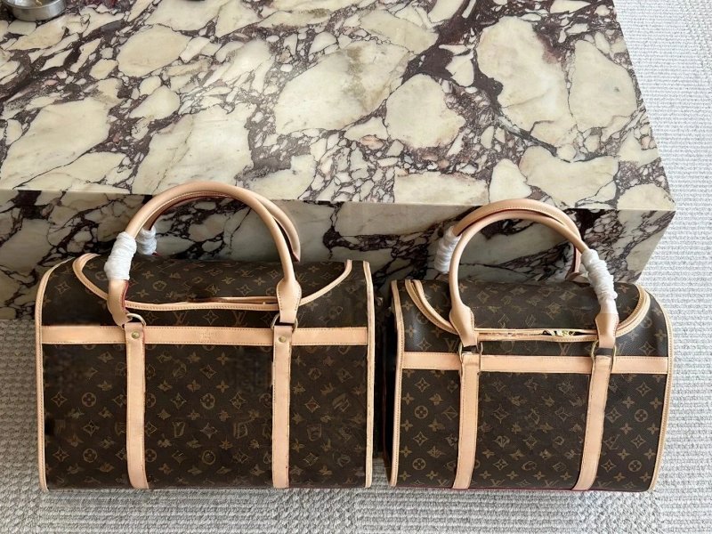 Louis Vuitton bag